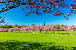 Spring in a park on a beautiful day