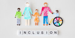 inclusion