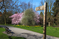 Public footpath sign to woods in spring