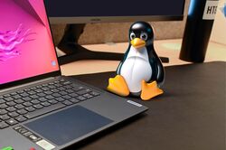 tux and laptop