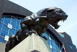 Carolina Panther Statue at NFL stadium