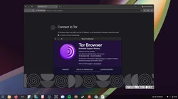 Tor Browser 13.5