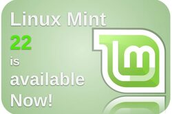 Linux Mint 22 is available now wordings and Linux mint logo