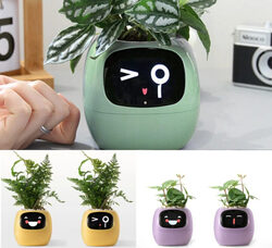 Tuya Ivy smart flower pot monitors