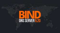 BIND 9.20 DNS server lettering