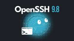 OpenSSH 9.8