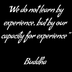 We do not learn by experience, but by our capacity for experience - Buddha