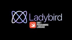 Ladybird Swift Programming Language