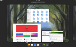 GNOME Desktop on a Laptop