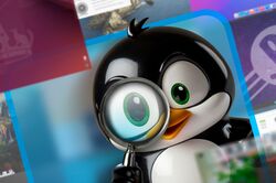 penguin and magnifying glass