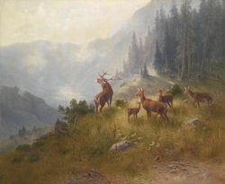 A beautiful oil painting of a buck or elk with several females in a mountain meadow