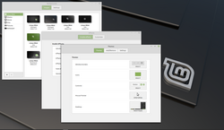 Linux Mint Cinnamon Desktop