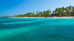 Palm trees on the tropical beach and turquoise sea