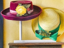 Two stylish women hats