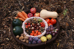 Basket at Thanksgiving, filled with fruits and autumn natural materials