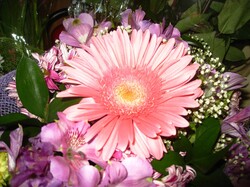 Photo flowers in a bouquet holidays gerberas