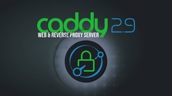 Caddy 2.9