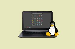 penguin and laptop