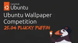 Wallpaper competition for the upcoming Ubuntu 25.04, Plucky Puffin