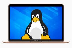 Macbook Air and Penguin