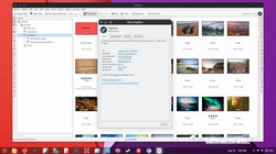 digiKam 8.6