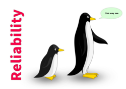 reliability two penguins walking... this way son