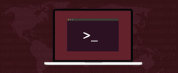 terminal