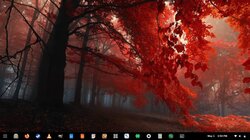 trees in autum as the wall picture