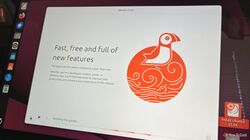 Ubuntu 25.04