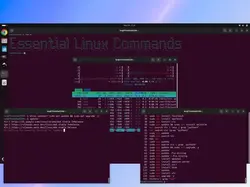 terminal