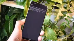 Linux terminal on my Pixel