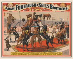 Performing great Dane dogs vintage poster from late 1800s to early 1900s