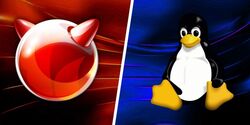 FreeBSD and Linux logos