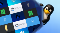 penguin with different distro logos