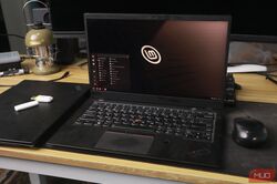thinkpad with linux mint installed