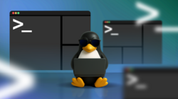 penguin working on a laptop