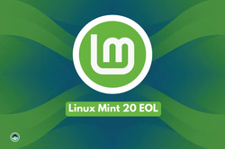 Linux Mint 20 logo