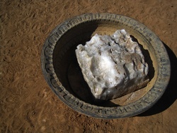 Salt lick for cattle in part of an old tyre