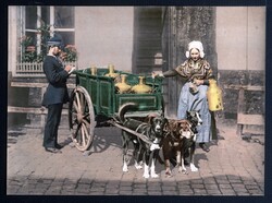 Public domain vintage photo of a Dutch milk cart pulled by dogs