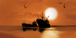 ships on the shore