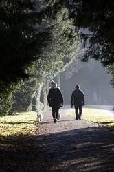 People walking with dog