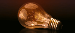 bulb