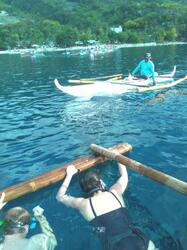 A Swim With Whales