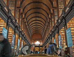 The Oracle and the Librarian