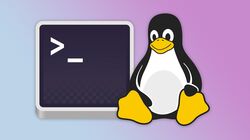 Linux dev