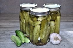 Three jars of home-made pickles with cucumbers and garlic beside, on a wood grain table top.
