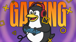 Linux Gamer