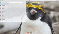 penguin