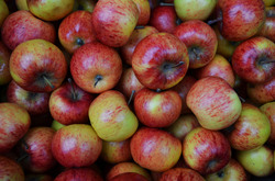 Autumn apples