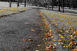 Autumn Background